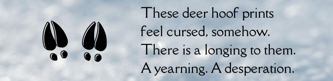 Deer Hoof Prints